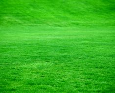 היתרונות של דשא סינטטי